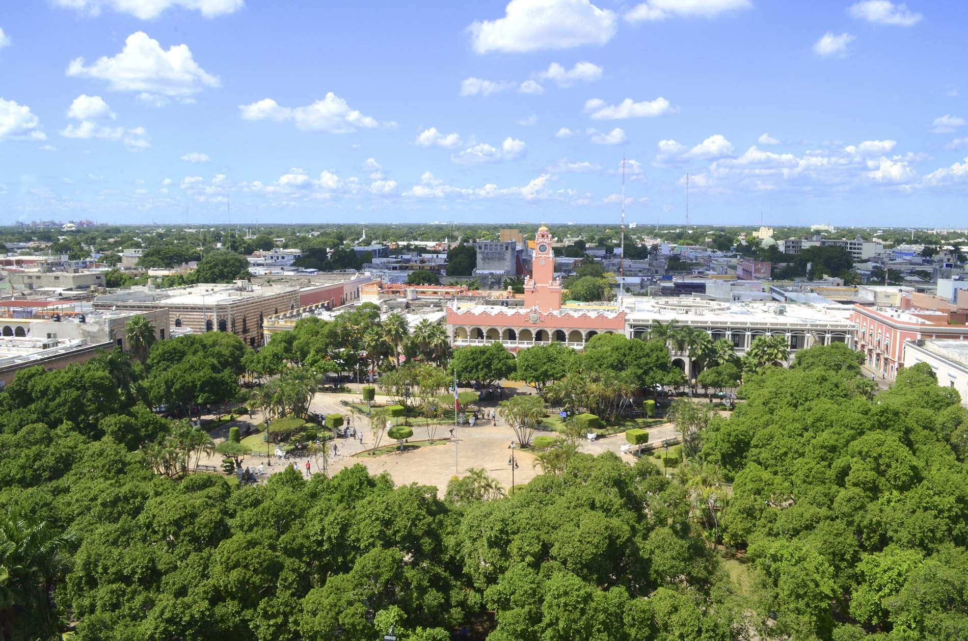 Drenaje y banquetas a mantenimiento